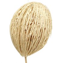 Article Boule Mintolla blanchie 8cm - 10cm L46cm 6 pcs