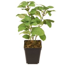Article Menthe en pot Herbes artificielles Plante verte H24cm