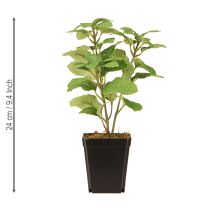 Article Menthe en pot Herbes artificielles Plante verte H24cm