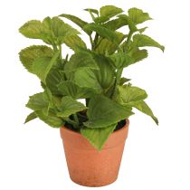 Article Menthe en pot Herbes artificielles Plantes artificielles 18cm 2pcs