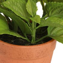 Article Menthe en pot Herbes artificielles Plantes artificielles 18cm 2pcs
