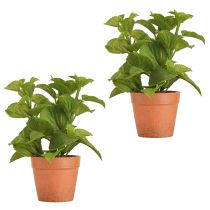 Article Menthe en pot Herbes artificielles Plantes artificielles 18cm 2pcs
