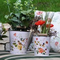 Article Rouge coquelicot dans l'herbe 23cm