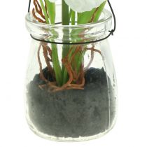 Article Coquelicot en verre à suspendre, blanc. H22cm