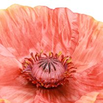 Article Coquelicot déco Fleur artificielle en orange Ø13cm 84cm