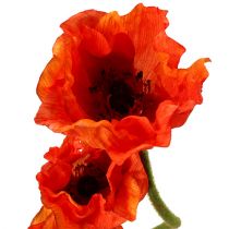 Article Coquelicots artificiels orange 58cm - 74cm 3pcs