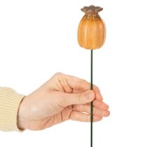 Article Capsule de pavot décorative à piquer - élément décoratif pour le jardin et les projets de bricolage - 41 cm, lot de 4