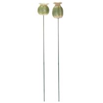 Article Décorations de jardin en capsules de pavot, 60 cm, 2 pièces