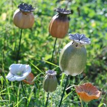 Article Décorations de jardin en capsules de pavot, 60 cm, 2 pièces