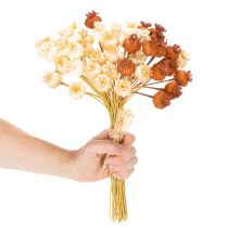 Article Capsules de pavot artificielles séchées, bouquet de trois couleurs, 40 cm, 45 pièces