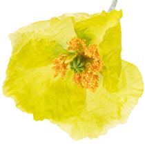 Article Coquelicot artificiel décoratif pour salons et bureaux, 95 cm