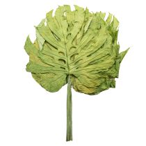 Article Feuilles décoratives de Monstera pour une décoration bohème et jungle urbaine