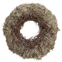 Article Couronne en mousse florale Lichen stabilisé gris épurge Ø30cm