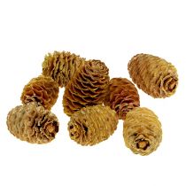 Article Cônes de sabulosum Couleur crème 4-6cm 500g