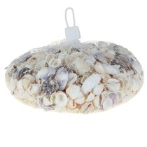 Article Décoration de coquillages mini coques coquilles d'escargots 1–3 cm 340 g