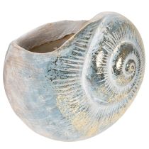 Article Pot décoratif en forme d'escargot pour une décoration murale marine et naturelle, gris, 21 cm