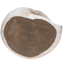 Article Pot décoratif en forme d'escargot pour une décoration murale marine et naturelle, gris, 21 cm