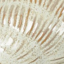 Article Bol en céramique à motif coquillage pour une décoration élégante dans le salon, 23 cm