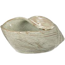 Article Bol en céramique à motif coquillage pour une décoration élégante dans le salon, 23 cm