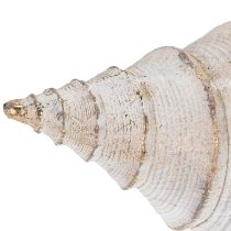 Article Forme de coquillage décorative pour une décoration maritime élégante, 44 cm