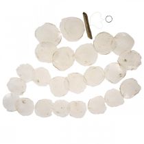 Article Guirlande Coquillages Nacre Guirlande Coquillages Capiz 195cm
