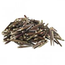 Article Coquilles décoratives Épines d'oursins, épines d'oursins, décoration maritime L3–8cm 450g