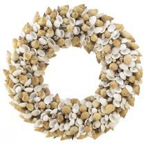 Article Couronne de coquillages escargots de mer blanc naturel Ø35cm