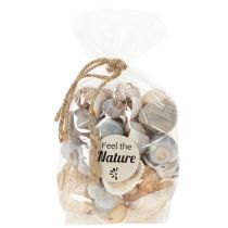 Article Escargots et coquillages - Éléments décoratifs maritimes pour une décoration intérieure unique - 500 g