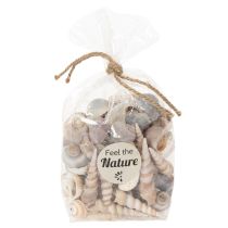 Article Coquillages Déco marine naturelle pour intérieurs élégants Déco d'été 500 g