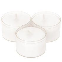 Article Veilleuses chauffe-plat blanches en plateau plastique, 8 heures, 50 pièces