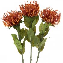 Article Pincushion Fleur Artificielle Exotique Orange Leucospermum Protea 73cm 3pcs
