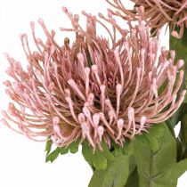 Article Coussin à épingles fleur d'automne artificielle Protea Rosa Leucospermum 73cm 3pcs