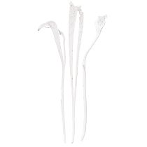 Article Natraj mélange de bois de bois blanchi 10 pcs