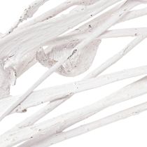 Article Natraj mélange de bois de bois blanchi 10 pcs