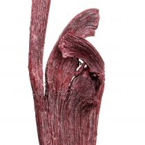 Article Natraj mélange de bois de cerf rouge, blanchi à la chaux 10 pièces