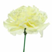 Article Carnation Blossom Blanc Ø9cm 12pcs