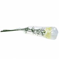 Article Carnation artificiel blanc 6pcs