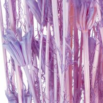 Article Bouquet de fleurs de nigelle séchées, pour la décoration du salon, crée une ambiance unique, 70 cm, 50 g