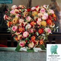 Article OASIS® Bioline® Déco et coeur titane 45cm