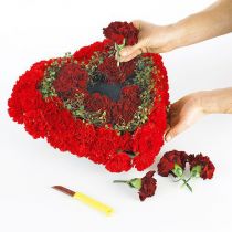 Article OASIS® Biolit® coeur petit 25cm 4 pcs