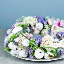Article Anneau de couronne en mousse florale OASIS® vert H3cm Ø25cm 6 pcs