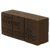 Article Mousse florale Oasis Renewal 23 cm, 1 brique