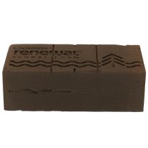 Article Mousse florale Oasis Renewal 23 cm, 1 brique