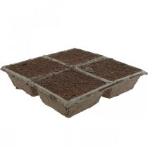 Article Composé à brancher durable OASIS® TerraBrick™ en fibre de coco 8 pièces