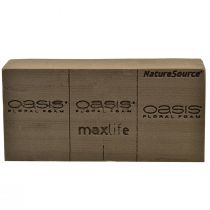 Article Oasis NatureSource Maxlife Mousse Florale Brique Marron 23×11×7.5cm 1 pièce