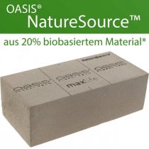 Mousse florale brique OASIS® NatureSource 23cm×11cm×7cm 10 pièces
