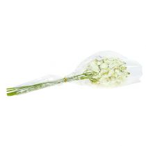 Article Orchidée vert clair 56cm 6pcs