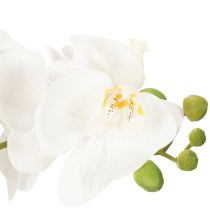 Article Orchidée artificielle en pot pour une ambiance harmonieuse, blanche, 60 cm