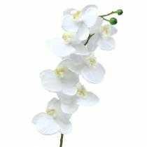 Article Orchidée artificielle fleur artificielle blanche Ø6,5-8cm 77cm