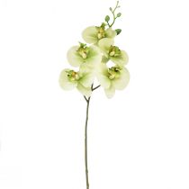 Article Orchidée Artificielle Jaune Vert Phalaenopsis 85cm